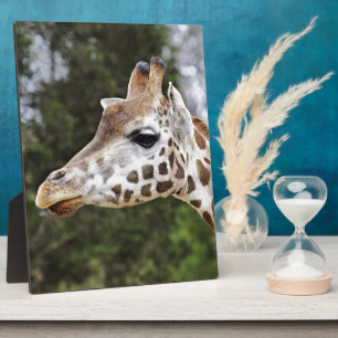 Safari Africa Mod Chic Classy Destiny Giraffe Plaque