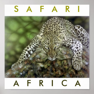 Safari Africa Poster