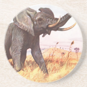 Safari African Jungle Destiny Animals Elephants Coaster