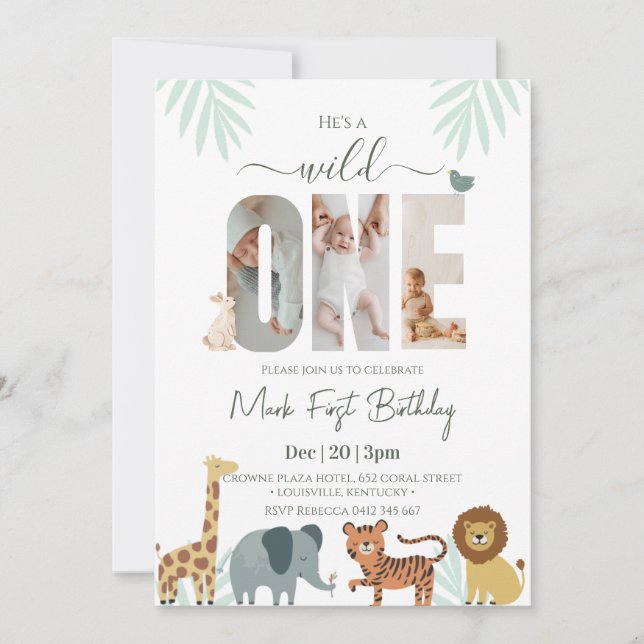 Safari Animal Boy 1st Birthday  Invitation (Front)