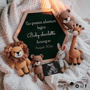 Safari animal social media pregnancy announcement 