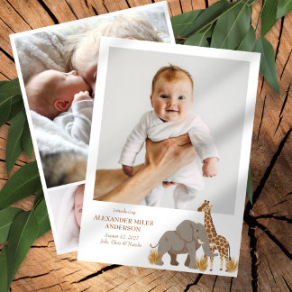Safari Animals Photos New Baby Announcement