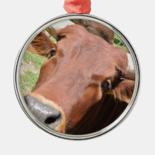 Safari Brown Cow Metal Tree Decoration