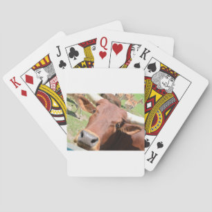 Safari Brown Cow Playing Cards