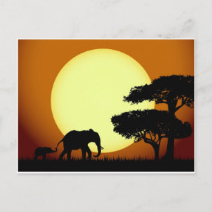 Safari elephants at sunset postcard