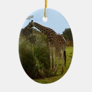 Safari Giraffe ornament