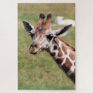Safari in Des Moines Jigsaw Puzzle