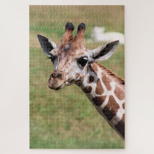 Safari in Des Moines Jigsaw Puzzle (Vertical)