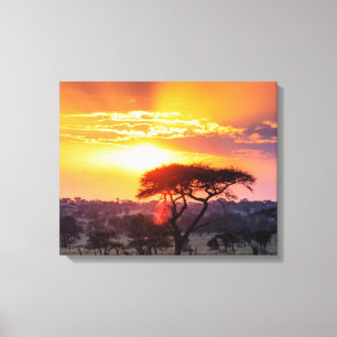 Safari in the Serengeti National Park Canvas Print