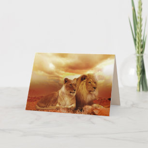 safari lions greeting card