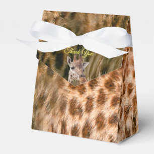 Safari Outdoor Favour Box