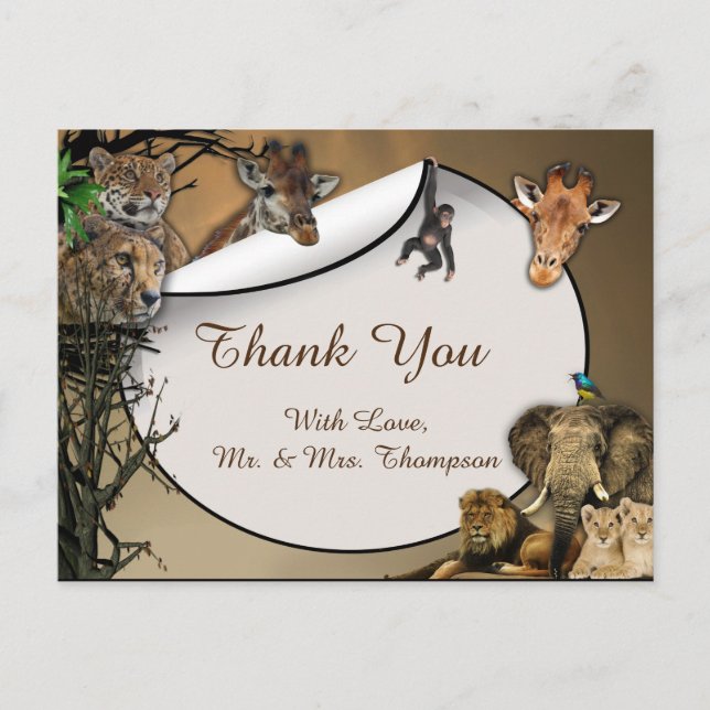 Safari Outdoor Thank You Announcement Postcard (Front)