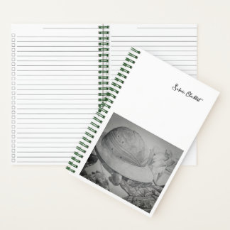 Safari Sketchbook Notebook