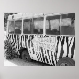 Safari Station Zebra Striped Tour Bus Poster