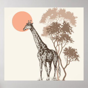 Safari Sunset Giraffe Nature Scenery Poster