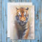 Safari Watercolor Tiger