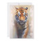 Safari Watercolor Tiger