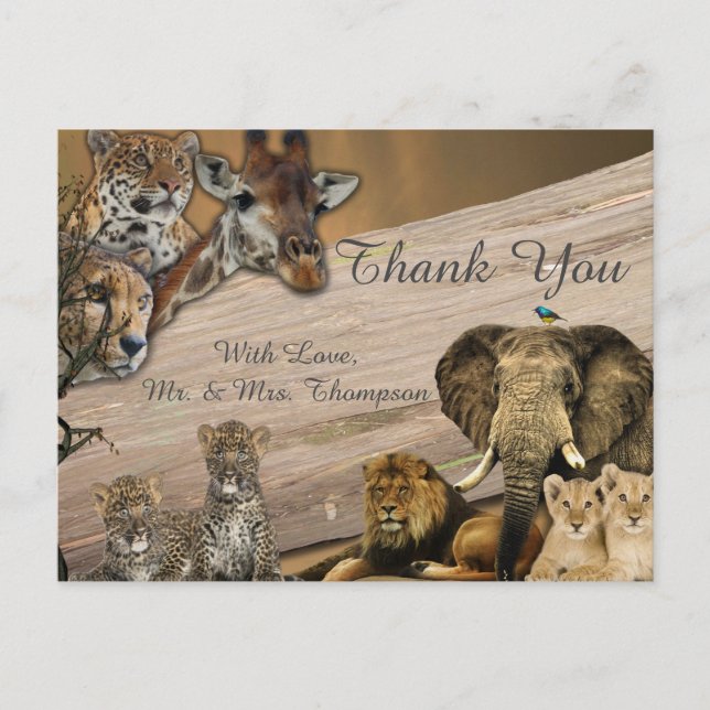 Safari Wildlife Thank You Announcement Postcard (Front)