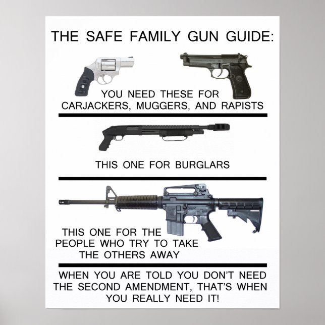 SAFE FAMILY GUN GUIDE POSTER (Front)
