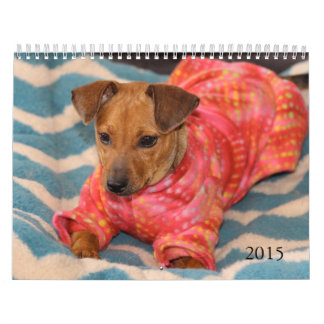 Safe Hands 2015 Calendar