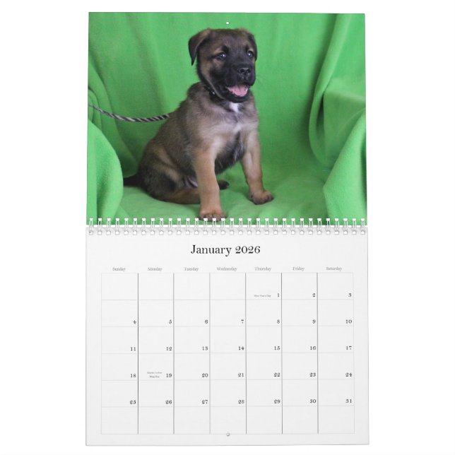 Safe Hands Rescue 2015 calendar (Jan 2026)