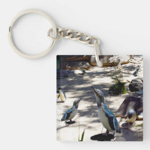 Safe Haven: Fairy Penguin Paradise, Key Ring