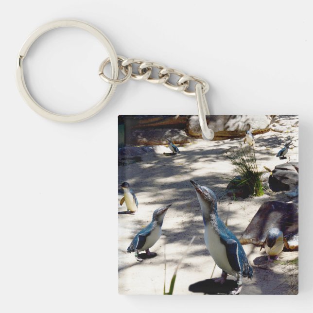 Safe Haven: Fairy Penguin Paradise, Key Ring (Front)