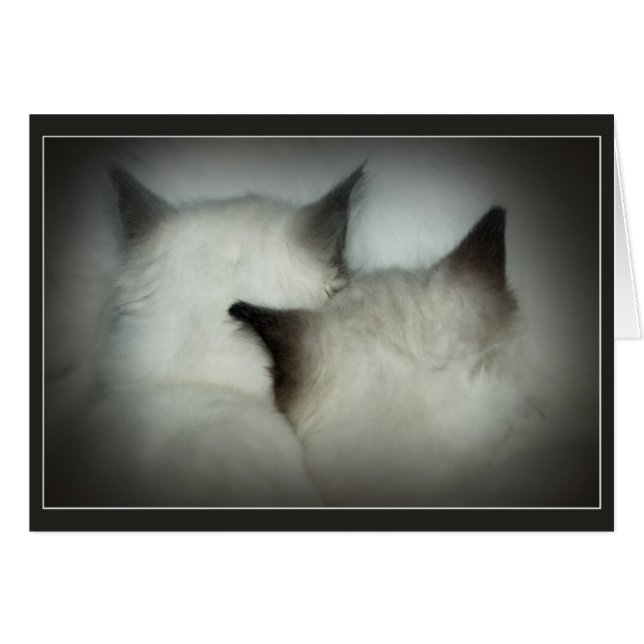 safe & sound (Front Horizontal)