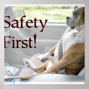 Safety First! Poster