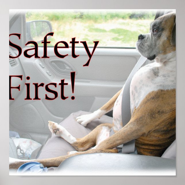 Safety First! Poster (Front)