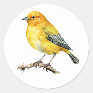  Saffron Finch Bird Stickers