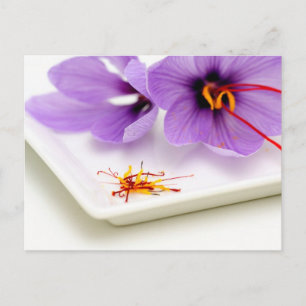 Saffron Flowers Postcard