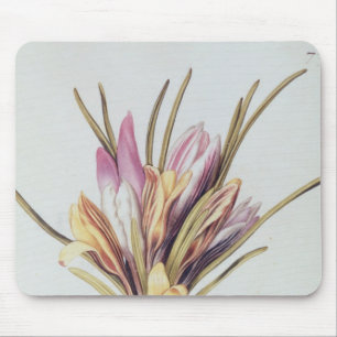 Saffron or Crocus, from 'La Guirlande de Julie' Mouse Mat