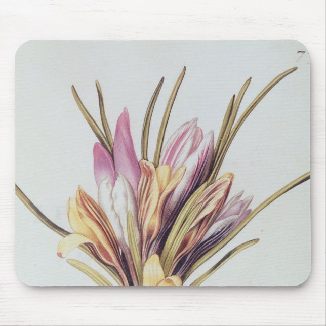 Saffron or Crocus, from 'La Guirlande de Julie' Mouse Mat (Front)