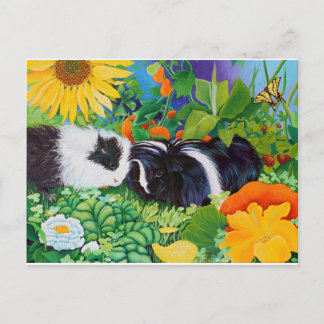 Safi and Zaria Guinea Pigs Postcard