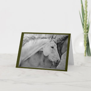 "Sage" 5x7 Greeting Cards