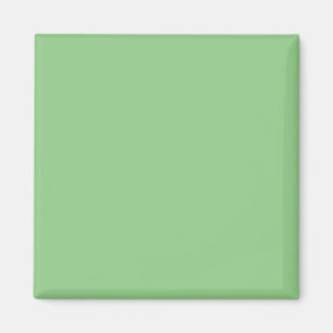 Sage #93CC8A, Clay Ash Magnet