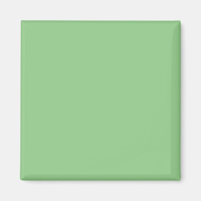 Sage #93CC8A, Clay Ash Magnet (Front)