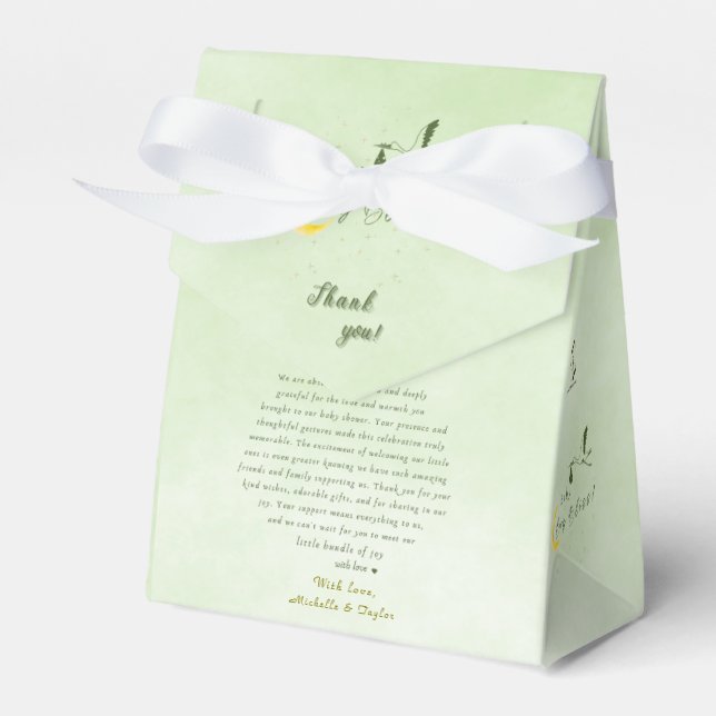  Sage Baby Boy Bliss: Stork Special Delivery Baby  Favour Box (Front Side)