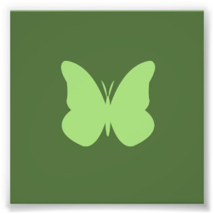 sage butterfly photo print