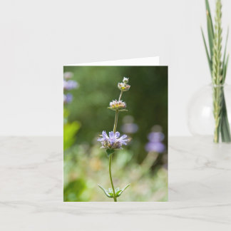 Sage Flower Note Card