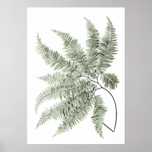 Sage Green Decor Fern Leaf Print no. 5