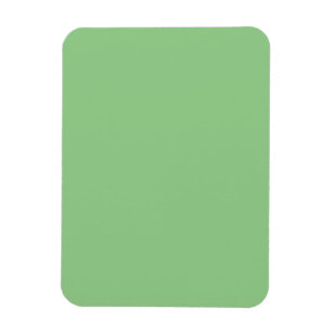 Sage Green Minimalist Calm Decor Magnet