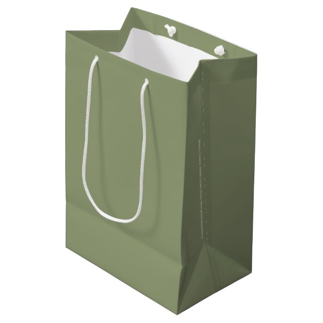 Sage Green Neutral Elegant Solid Plain Colour Medium Gift Bag (Front Angled)