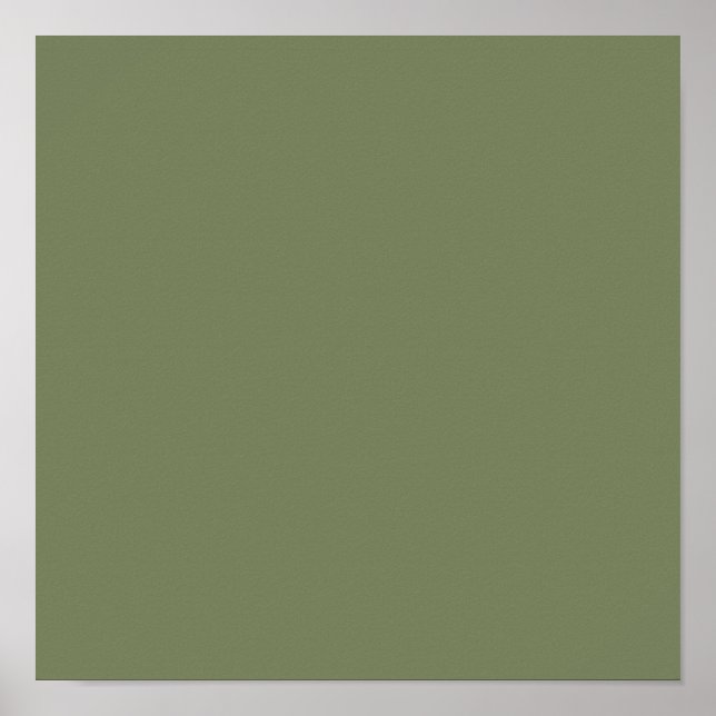 Sage Green Solid Color Poster (Front)