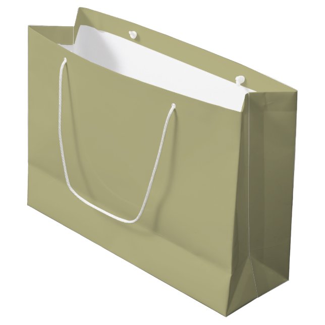 Sage Green Solid Colour | Classic | Elegant Large Gift Bag (Front Angled)