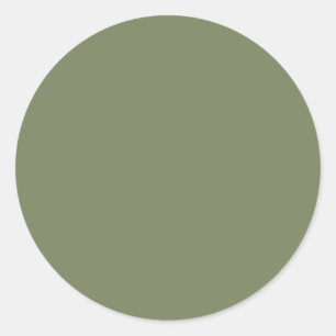 Sage Green Solid Colour Classic Round Sticker