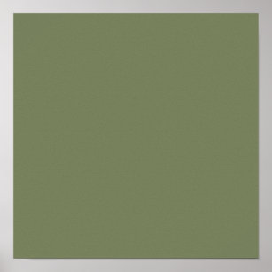 Sage Green Solid Colour Poster