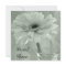 Sage Green Tinted Gerber Daisy Bridal Shower