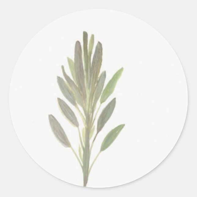 Sage herb botanical plant art print classic round sticker (Front)